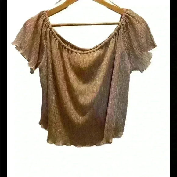 Zara Woman Short Sleeve Blouse Shimmery Size Large Mauve  Color 0002 - Picture 1 of 3